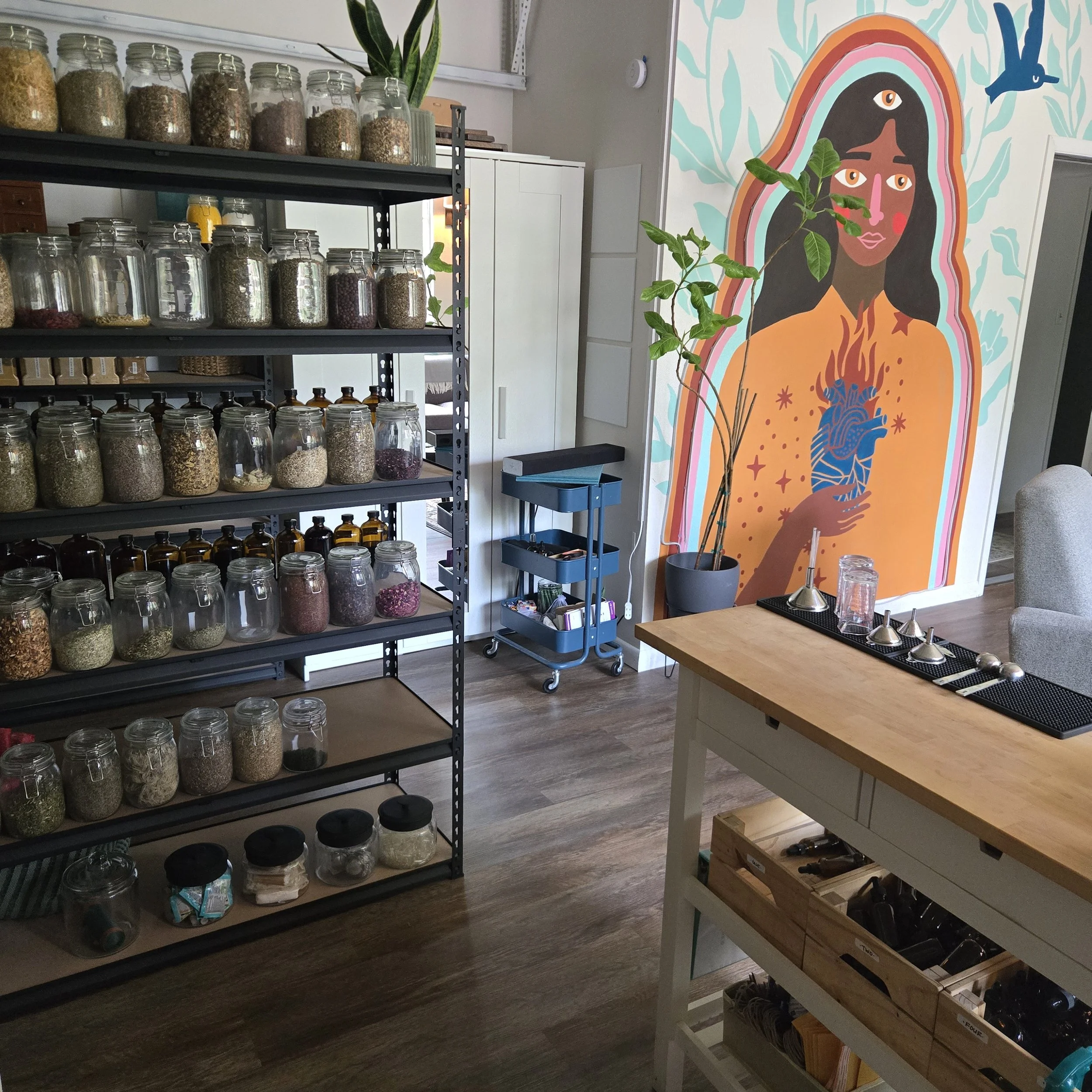 Interior of a store or dispensary with metal shelves filled with glass jars containing various dried herbs or spices. There is also a small blue rolling cart with supplies, a potted plant, and a colorful mural of a woman with four eyes and rainbow-co