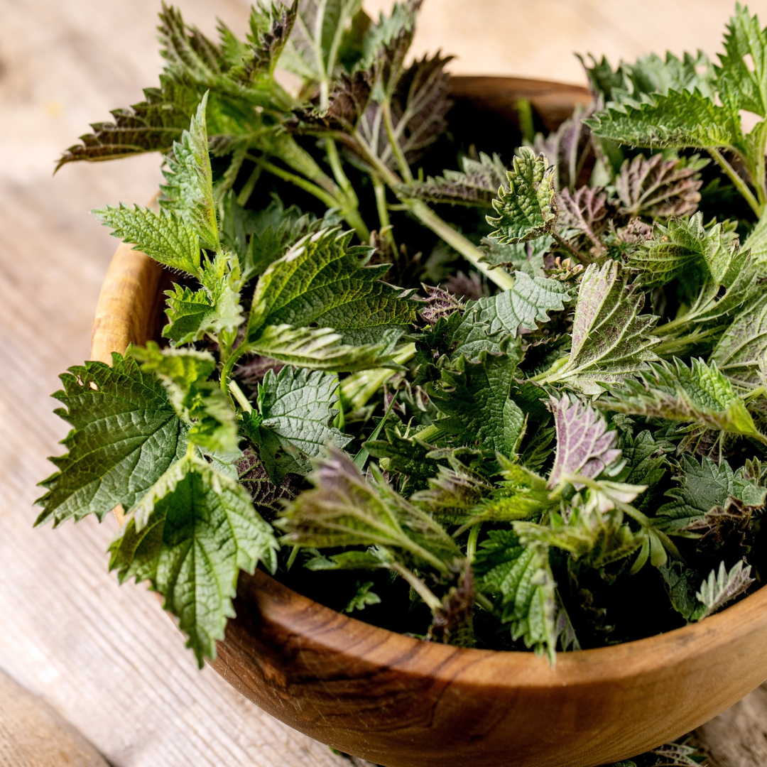 A woman with braids, wearing a black tank top and a cream-colored jacket, rests her hand on her chest, which she is touching gently. The background includes outdoor plants and a body of water, with black digital leaf illustrations overlayed on the lower left part of the image.