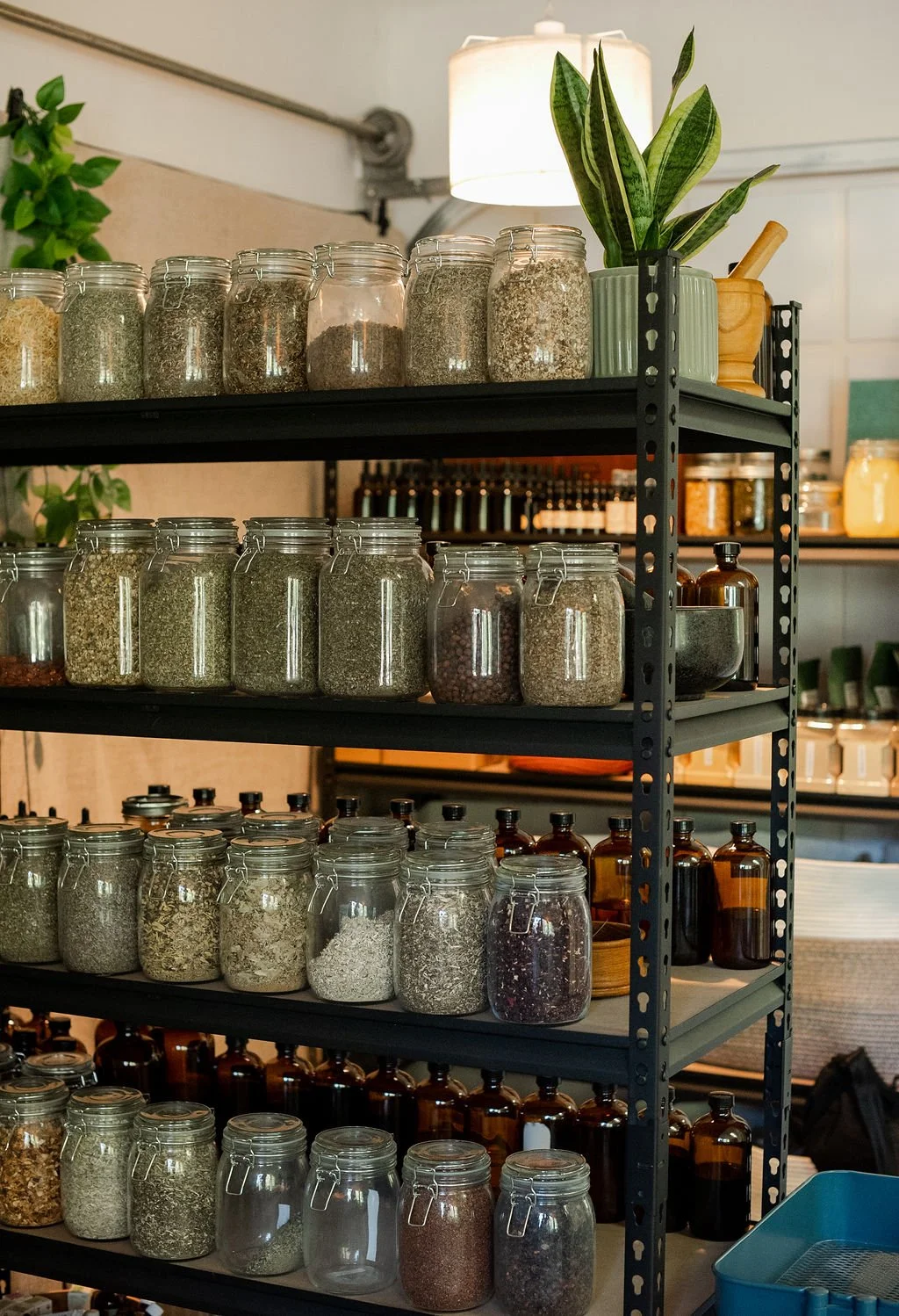 Shelves filled with glass jars containing various dried herbs, spices, and teas. A potted snake plant and a lamp are on the top shelf, with bottles and containers on other shelves in the background.
