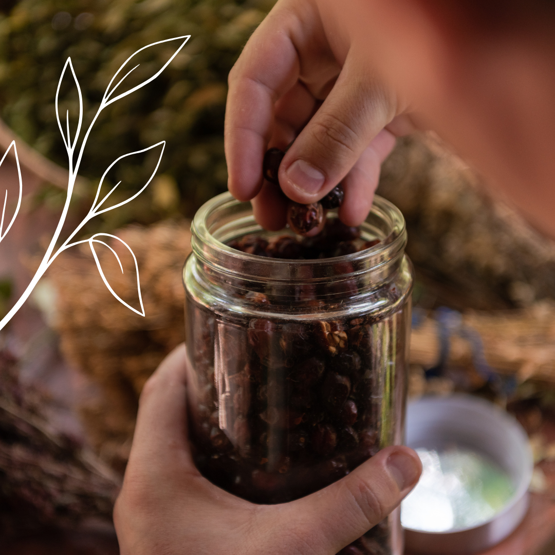 Jar of dried medicinal herbs