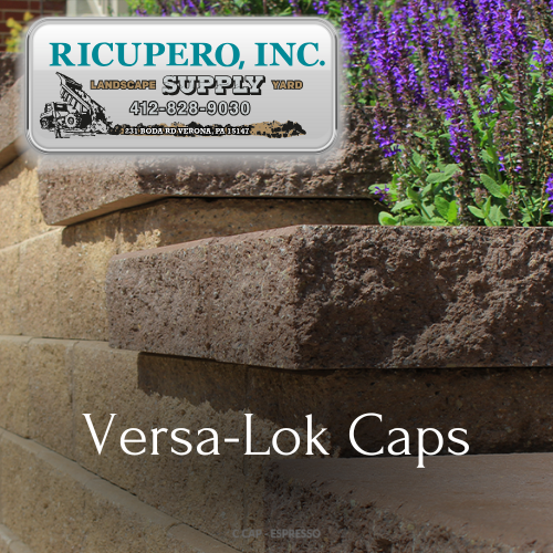 Close up of Versa Lok Caps on a wall by Ricupero Inc