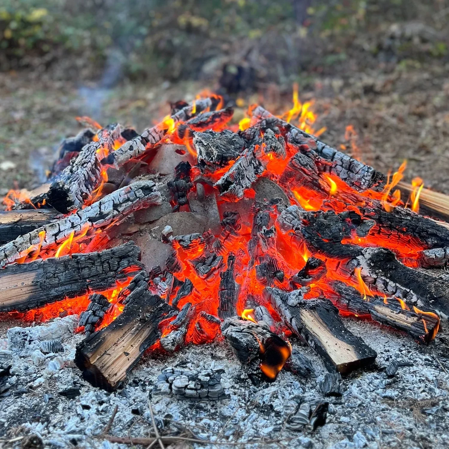 Workshop with Whitesnake Arts