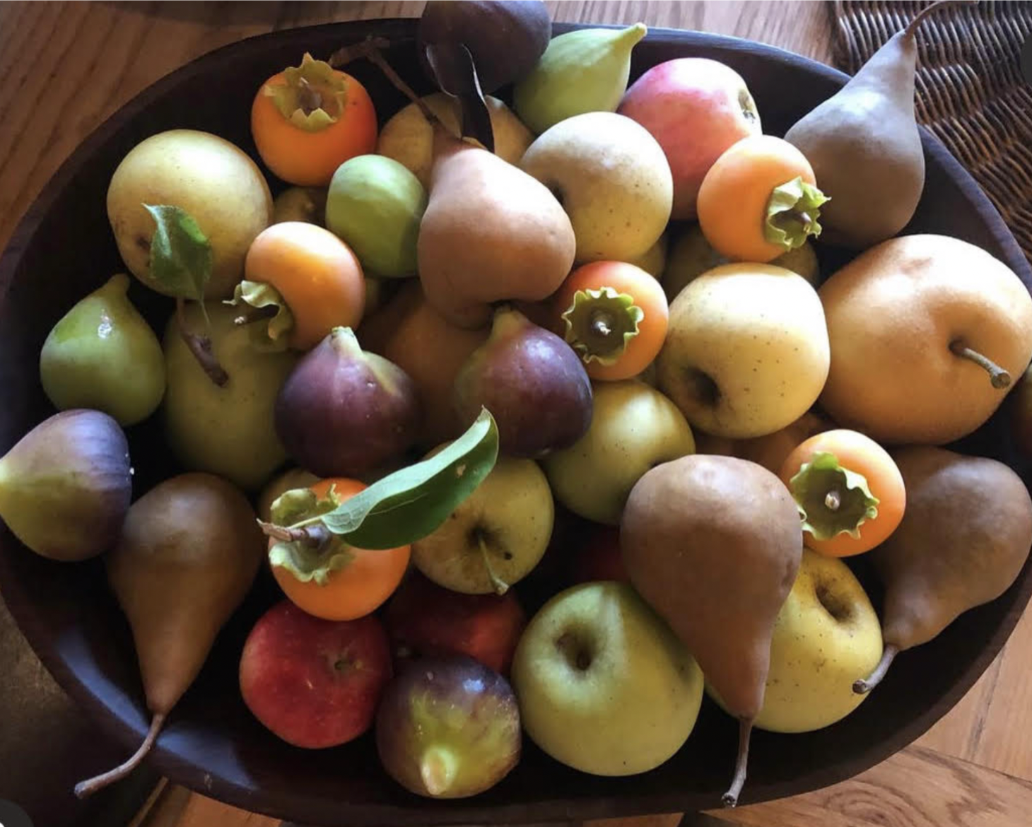 Introduction to Agroforestry