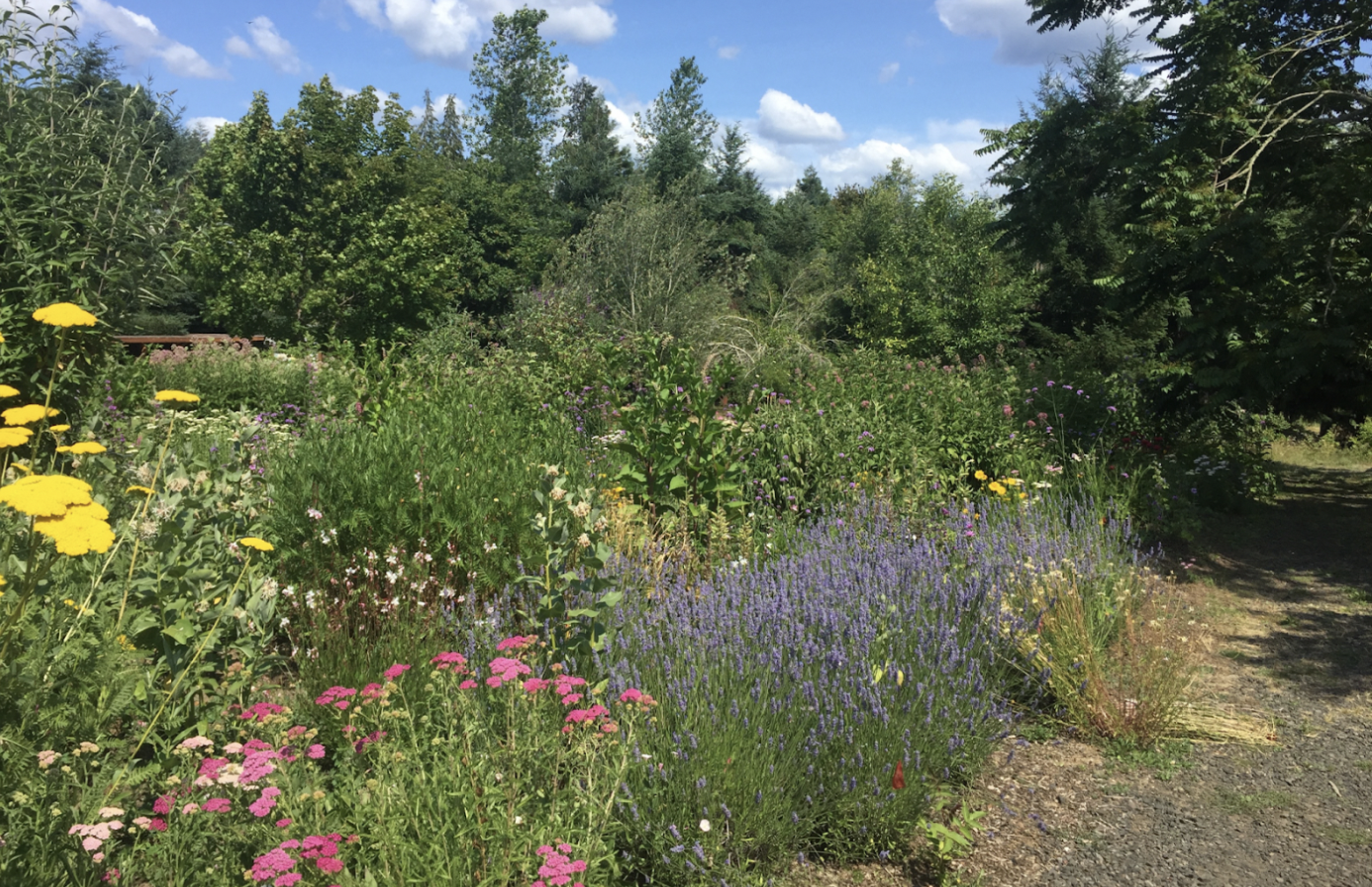 Designing Multifunctional Hedgerows