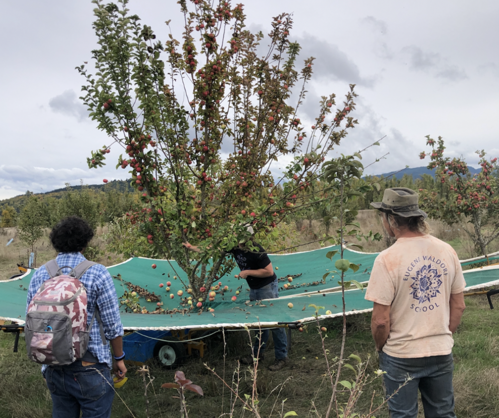 Farm Tour - Maple Syrup, Oak Silvopasture, Hedgerows, and Forest Gardens