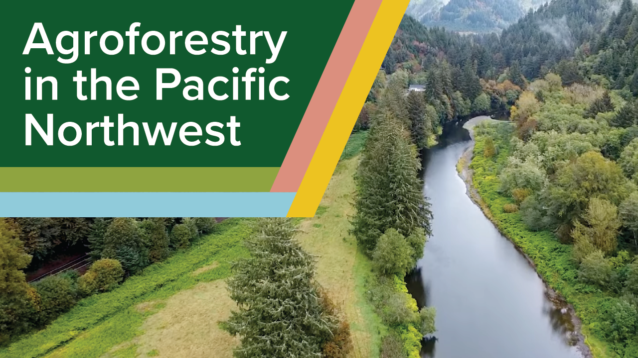 Webinar: Advancing Agroforestry in the Pacific Northwest