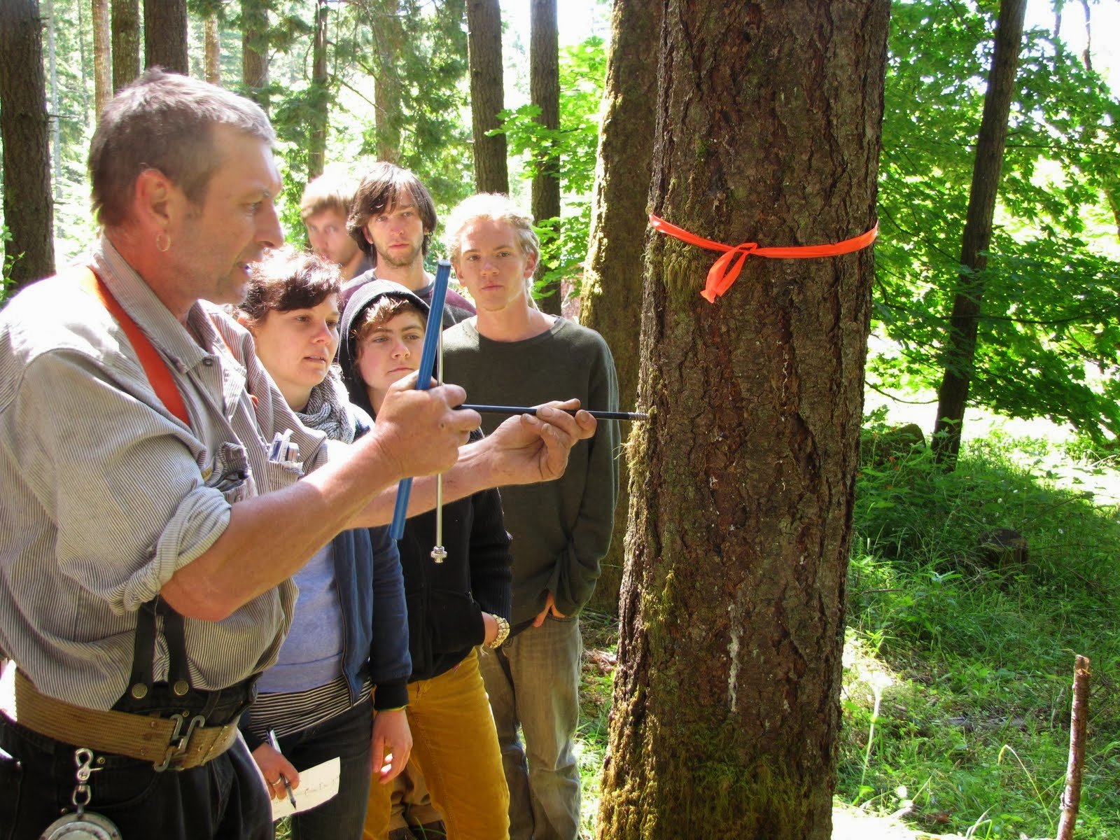KCC, Matt boring into tree (1).jpg
