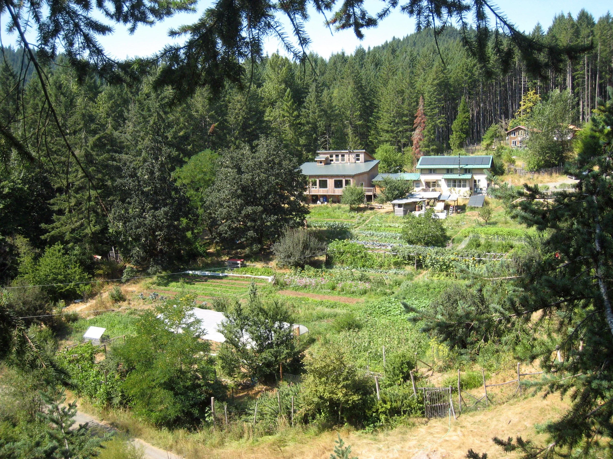 CRL/Aprovecho Half-Century Solstice Bash