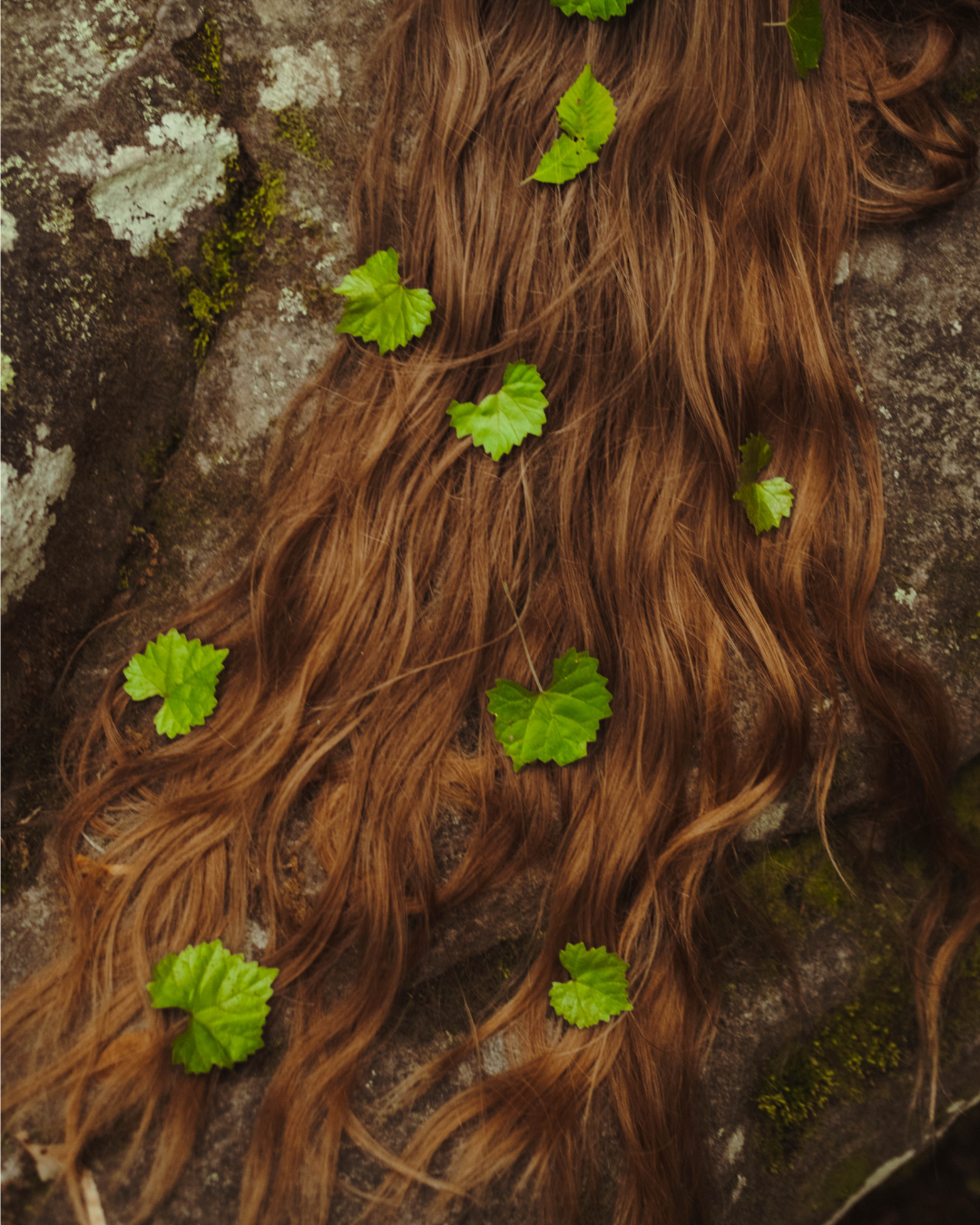 The Conundrum of Chronic Fatigue