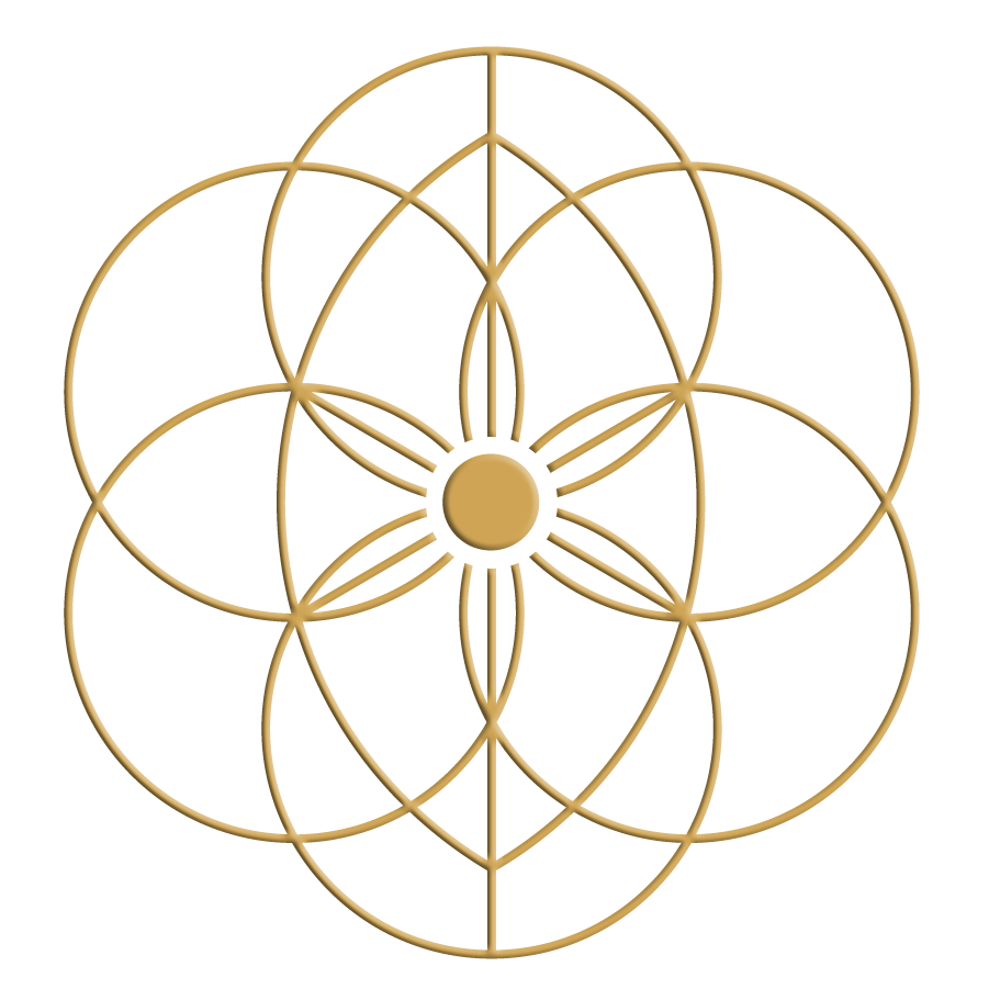 Walking Wildlight — Brooke Strawn Holistic Wellness Services