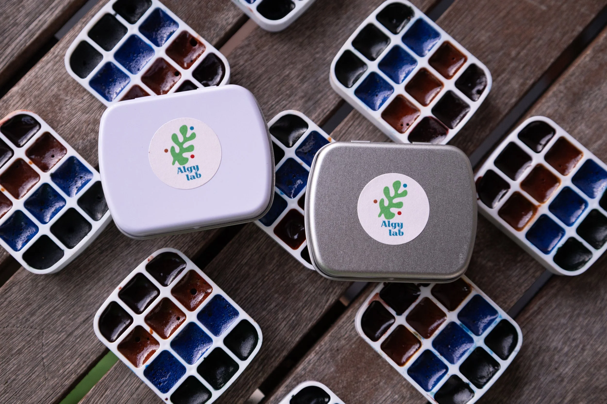 Alyg Lab_2025_Riley Arthur_2.jpg