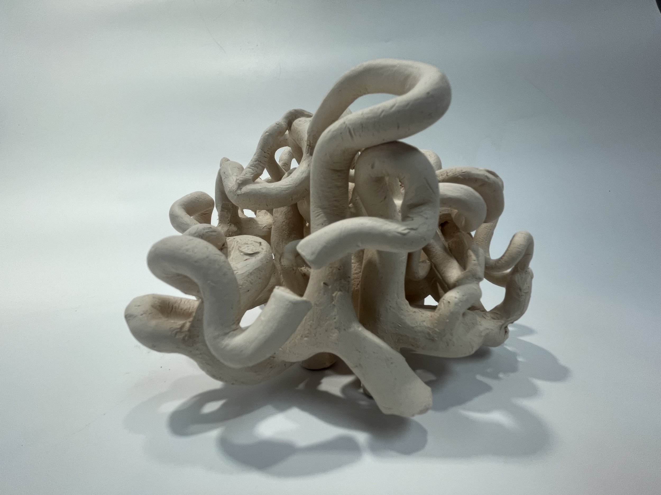 The Brain