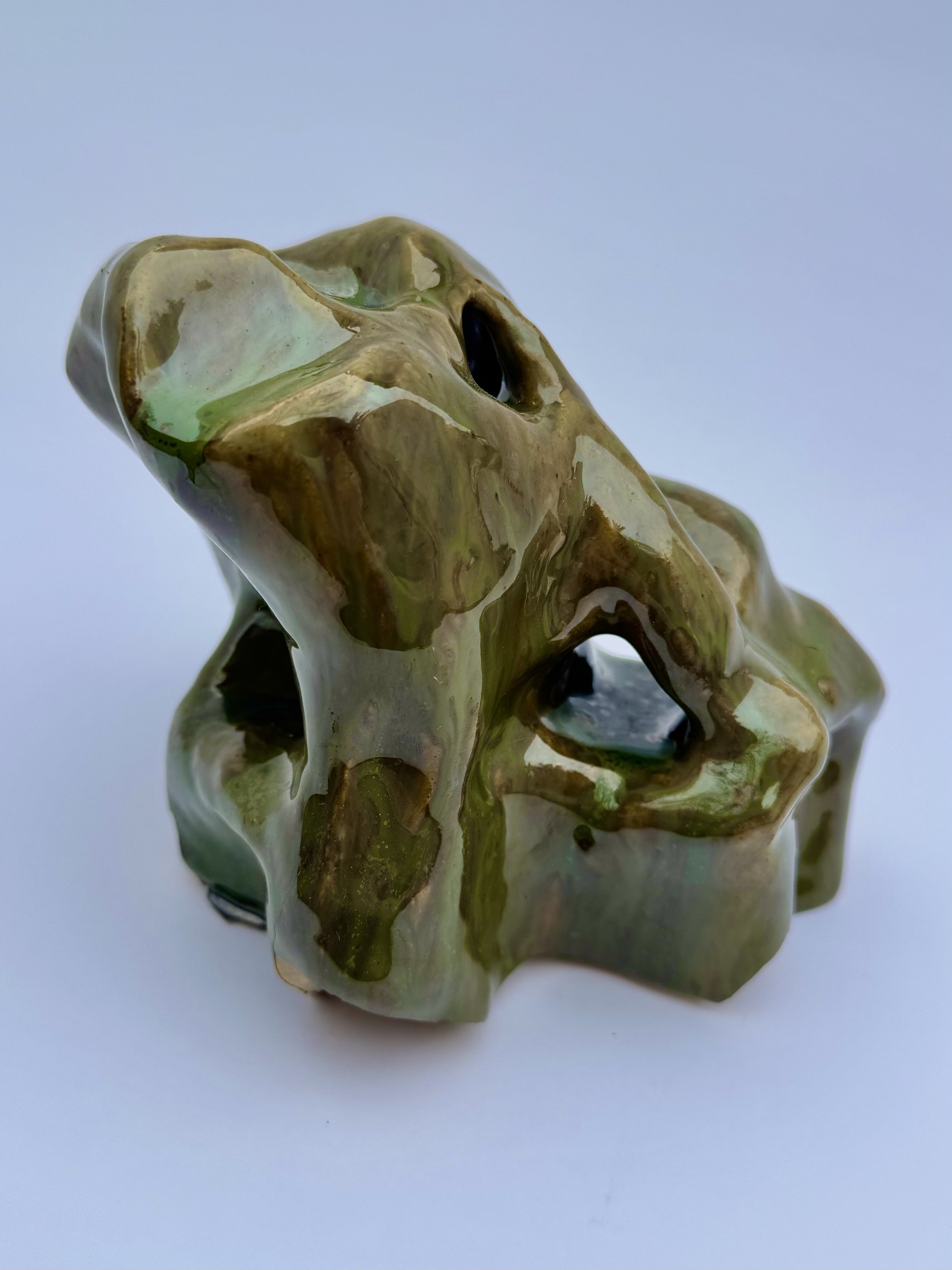 The Frog