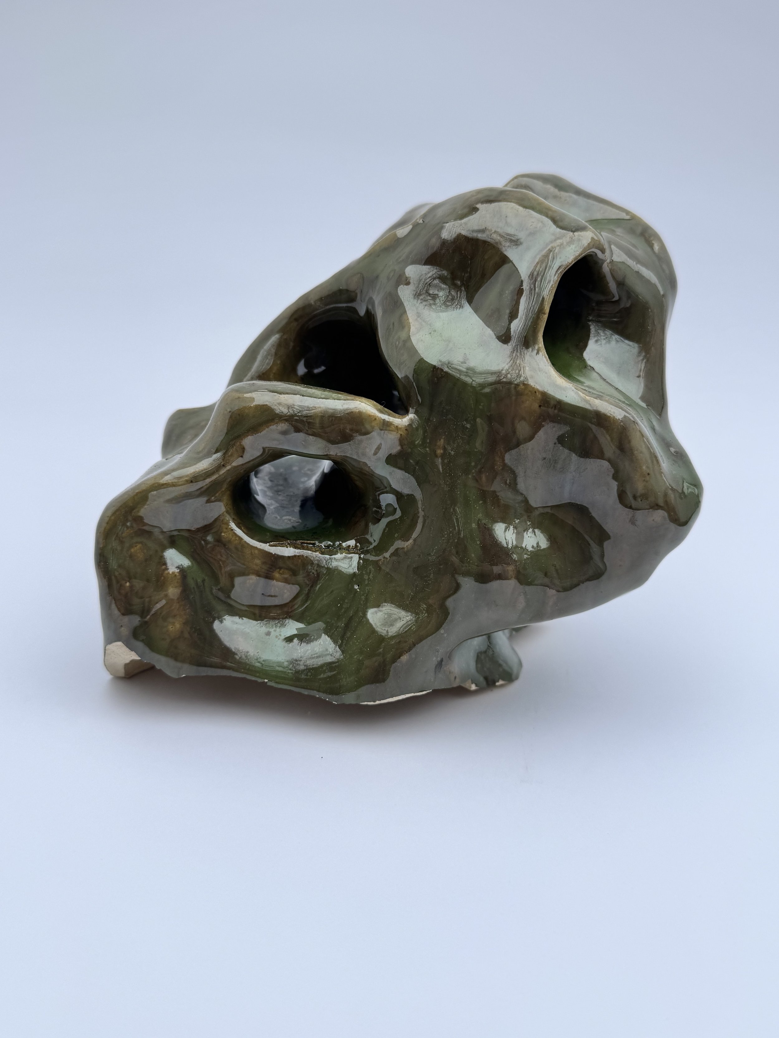 The Frog