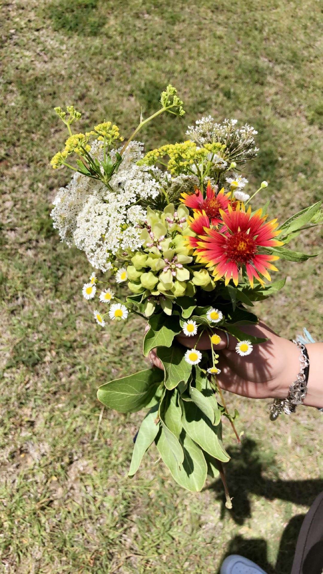 Wildflowers (2018)