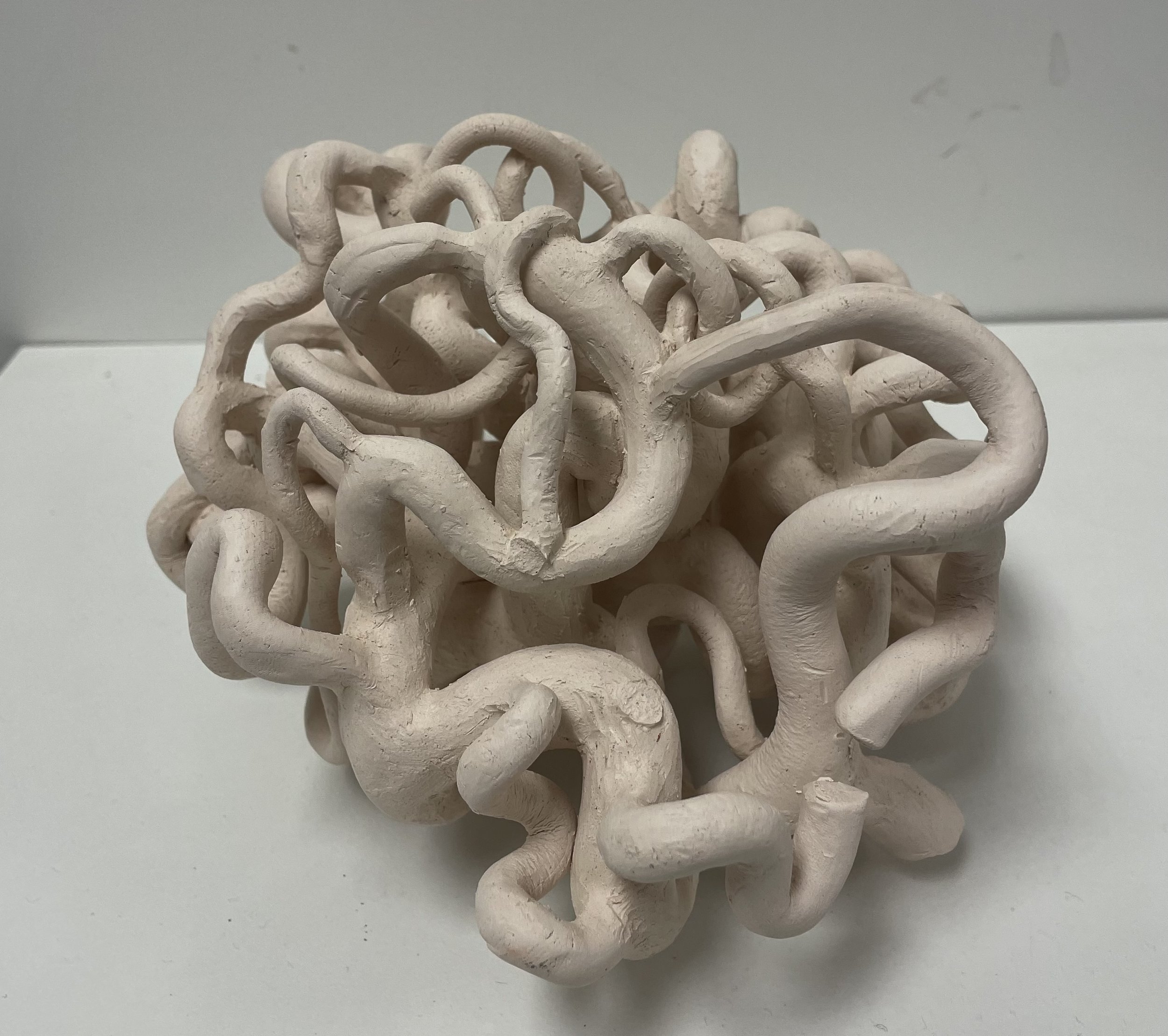 The Brain