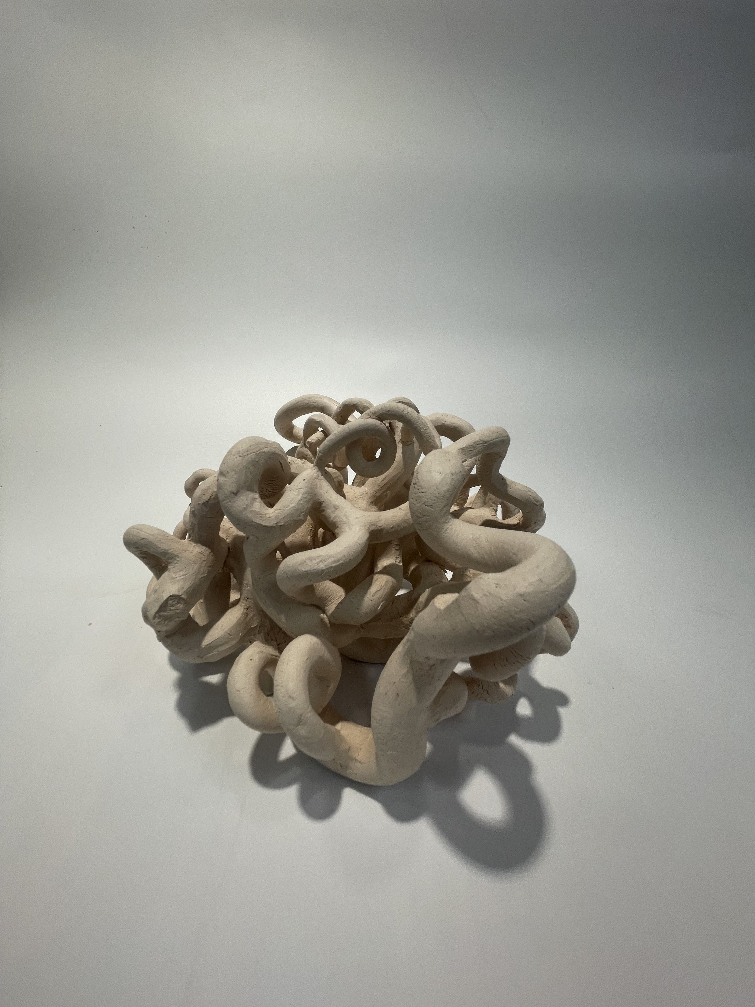The Brain