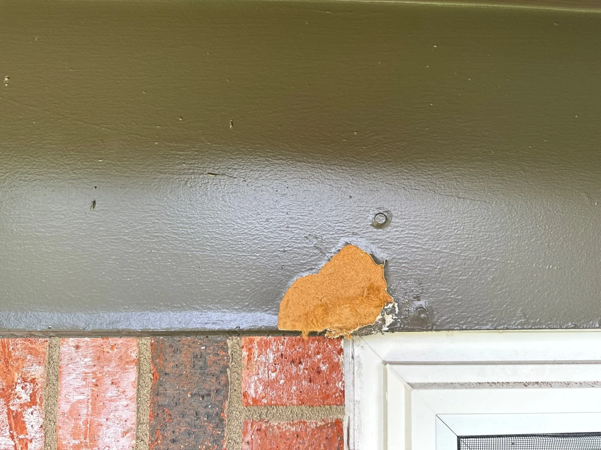 26-Jul 31 2024 09_43am-Xa7o.jpg