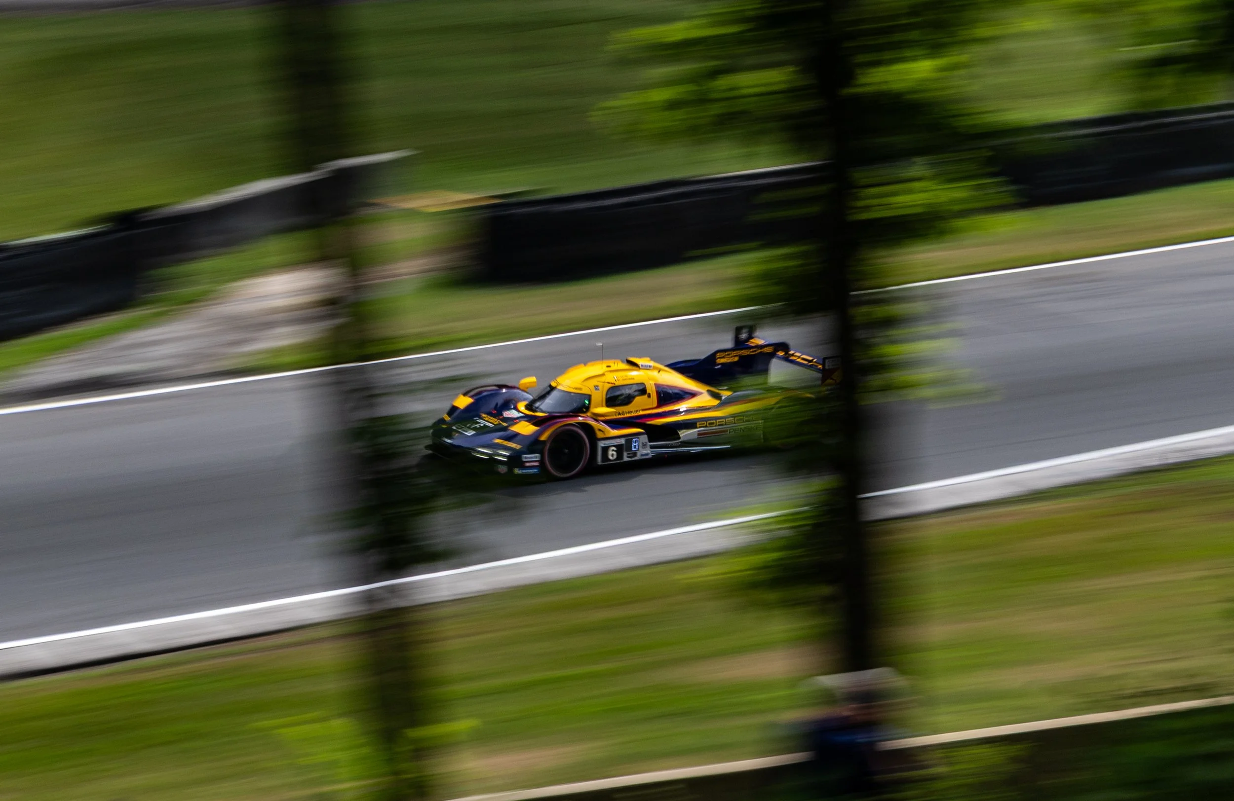 311A7677-Edit.jpg
