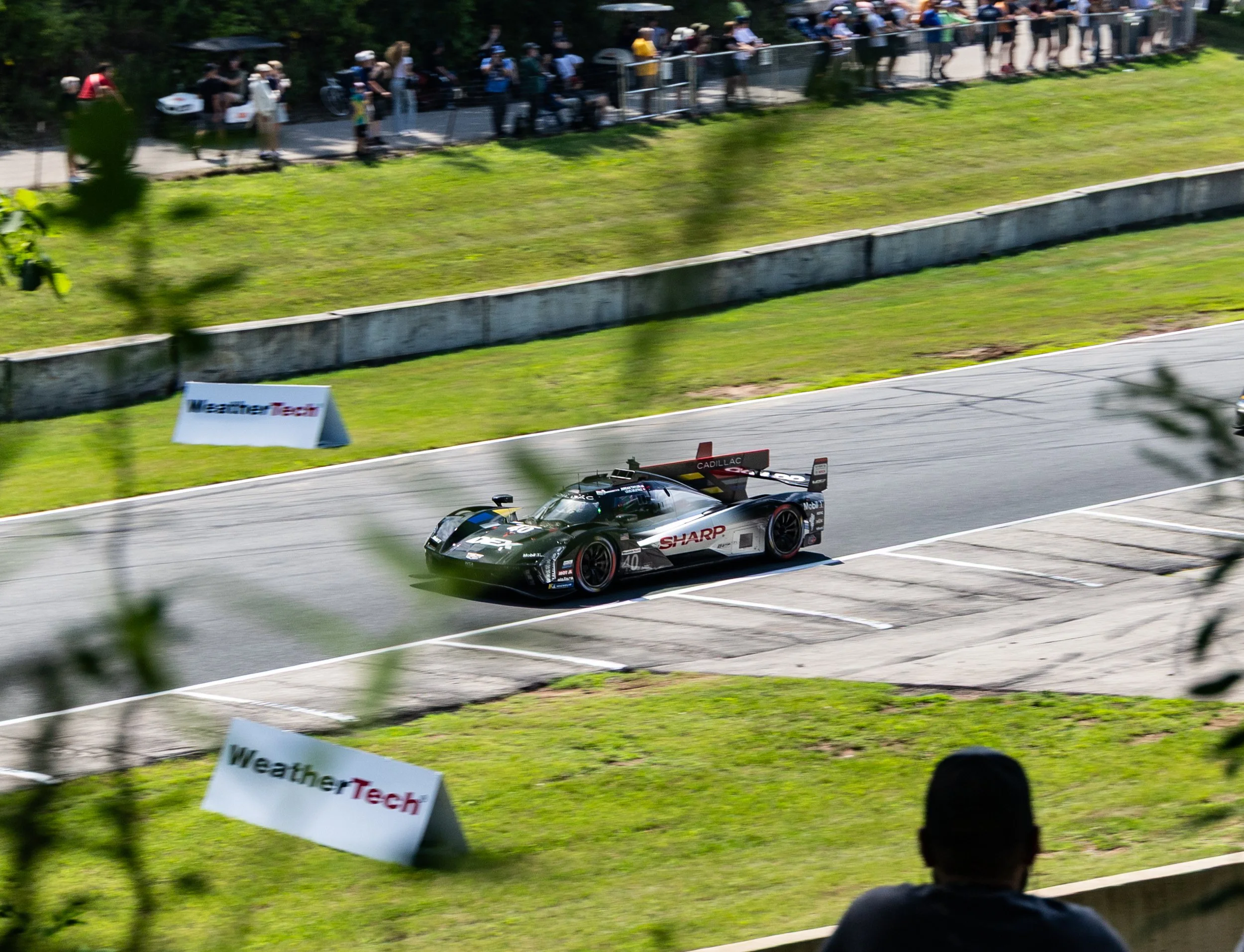 311A9686-Edit.jpg
