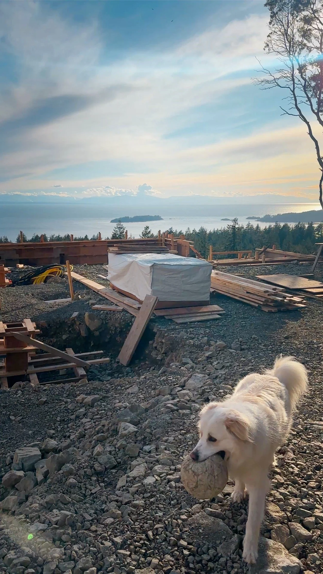 D70155E0-0E7F-48A6-BD72-08F5F4EF5128_1_102_o.jpeg