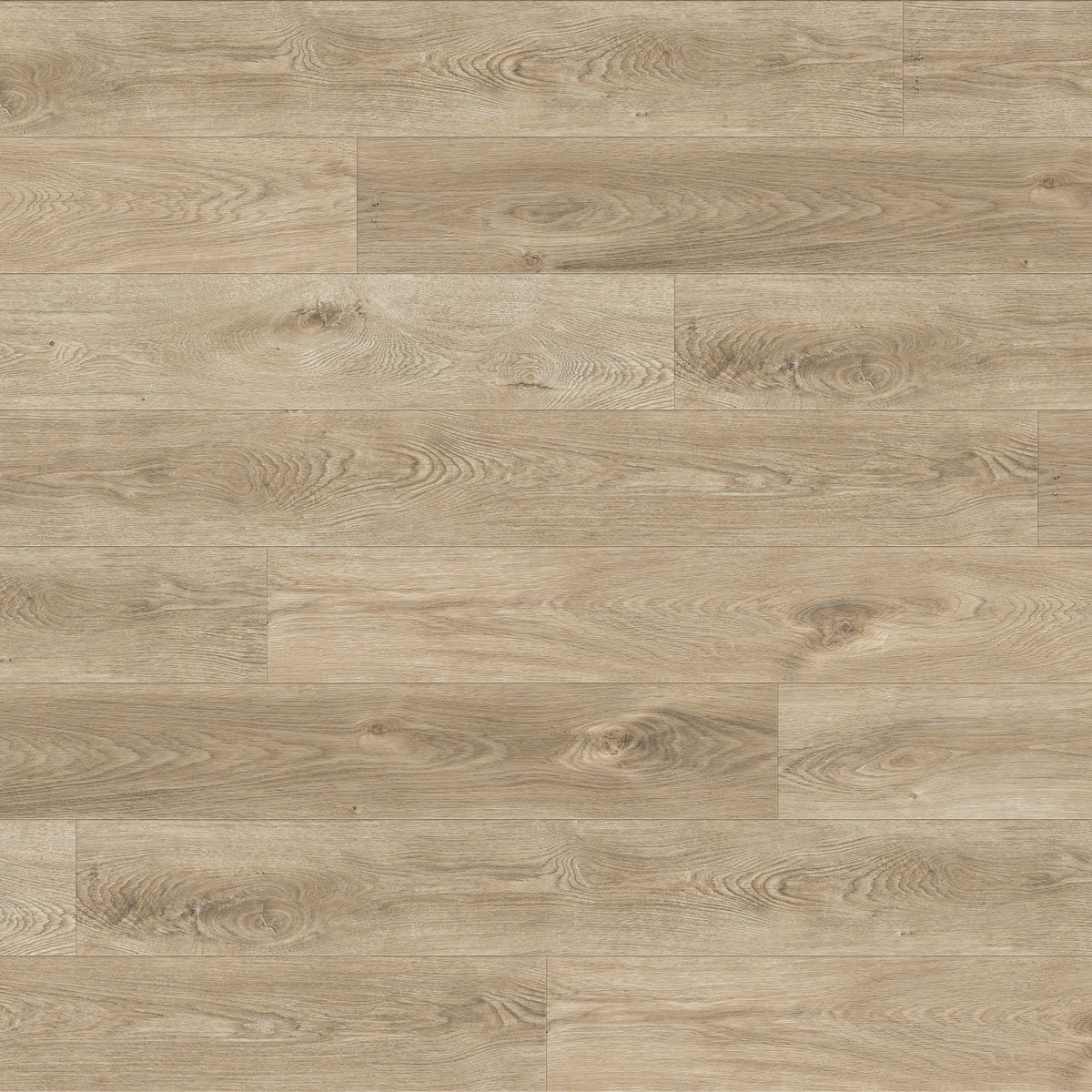 Motion floor swatch color