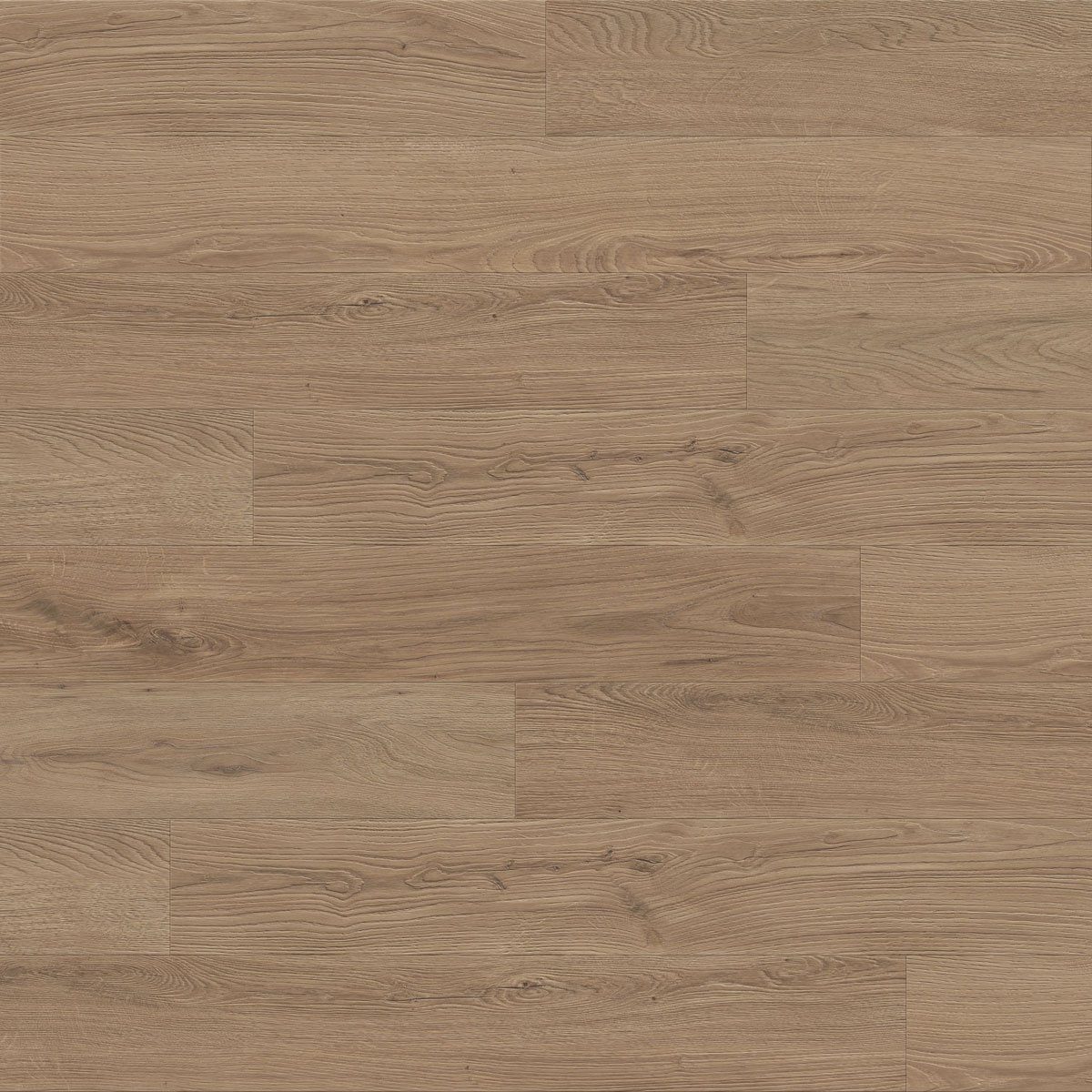 Earth Tone floor swatch color