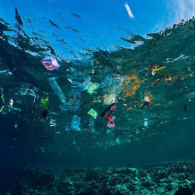 plastic and trash floating in the ocean