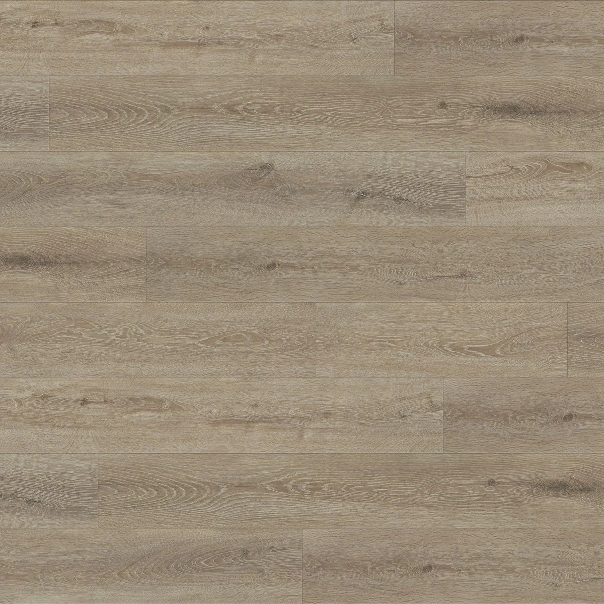 woodland harmony floor swatch color