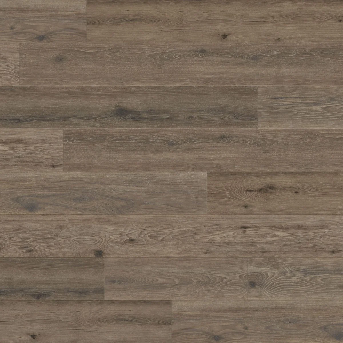 Forest Floor floor swatch color