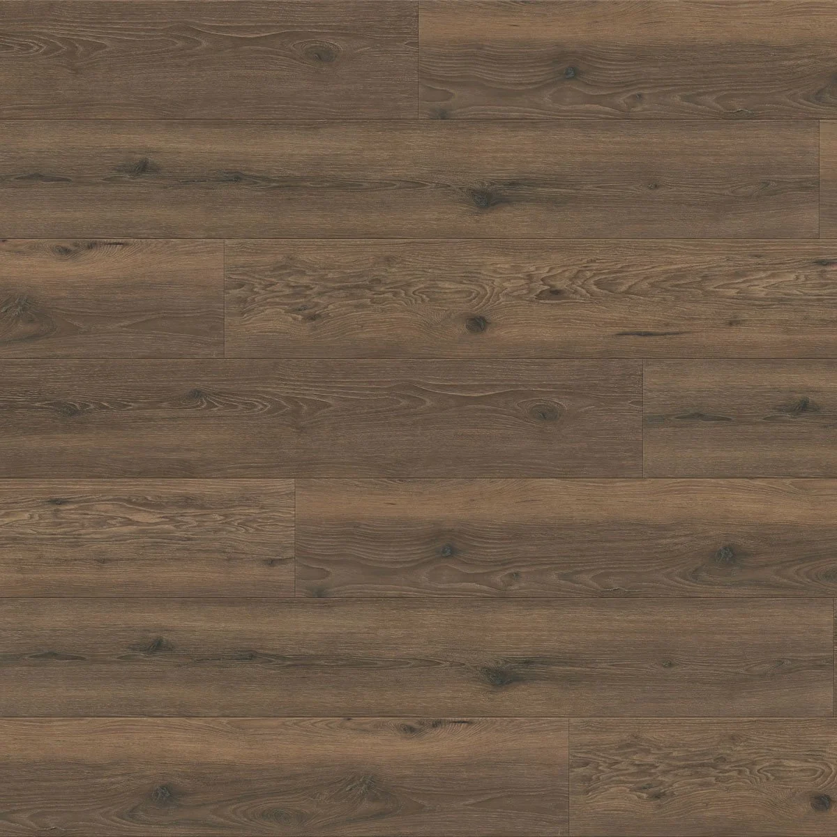 Woodlands floor swatch