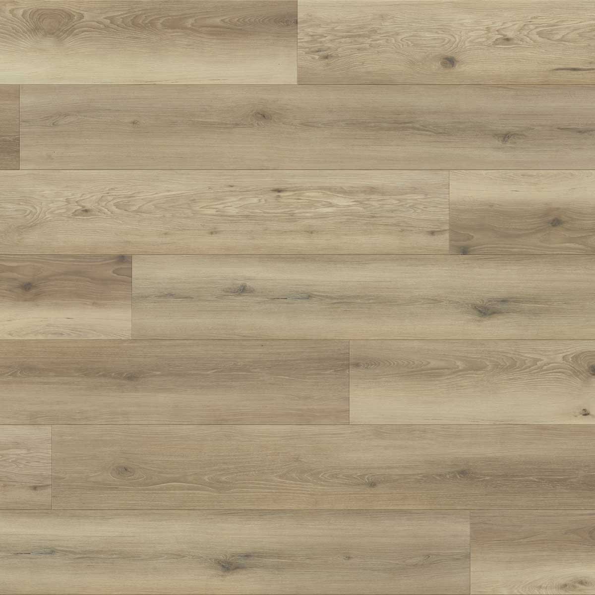 Great white floor color swatch