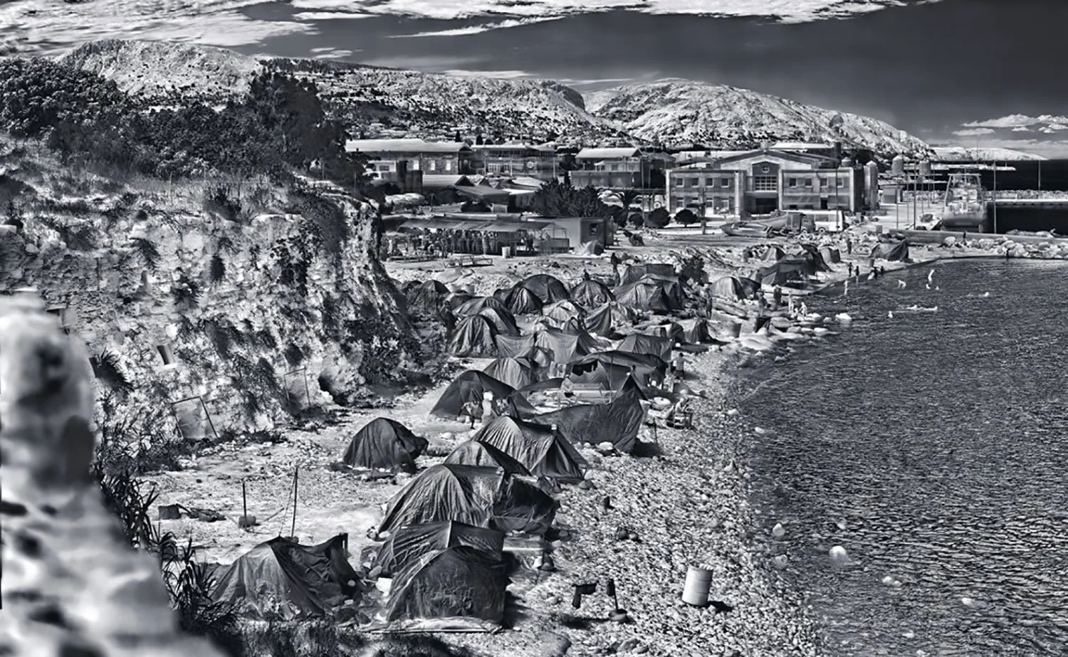 Richard Mosse