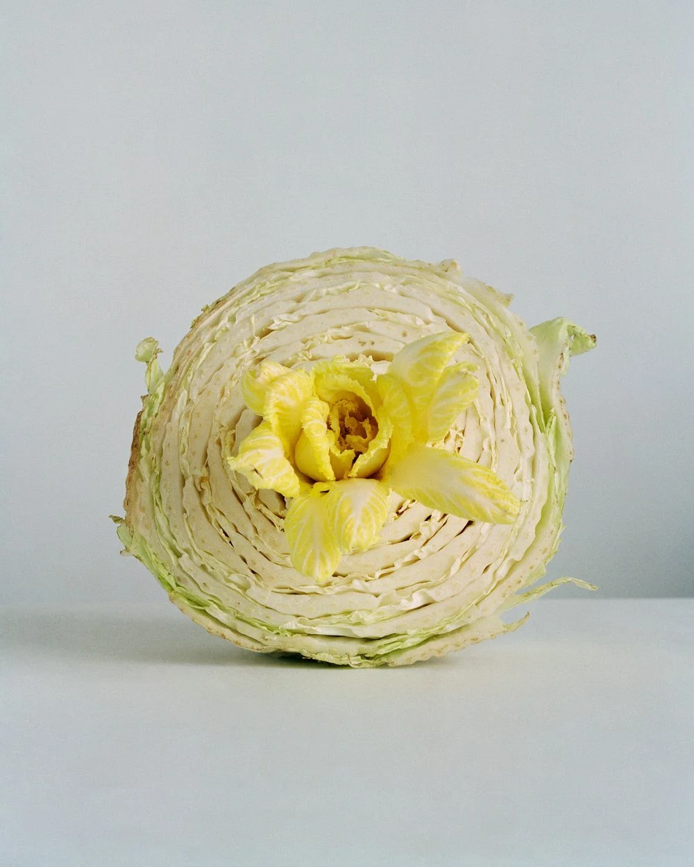 Chih-Chien Wang - A Bright Circle