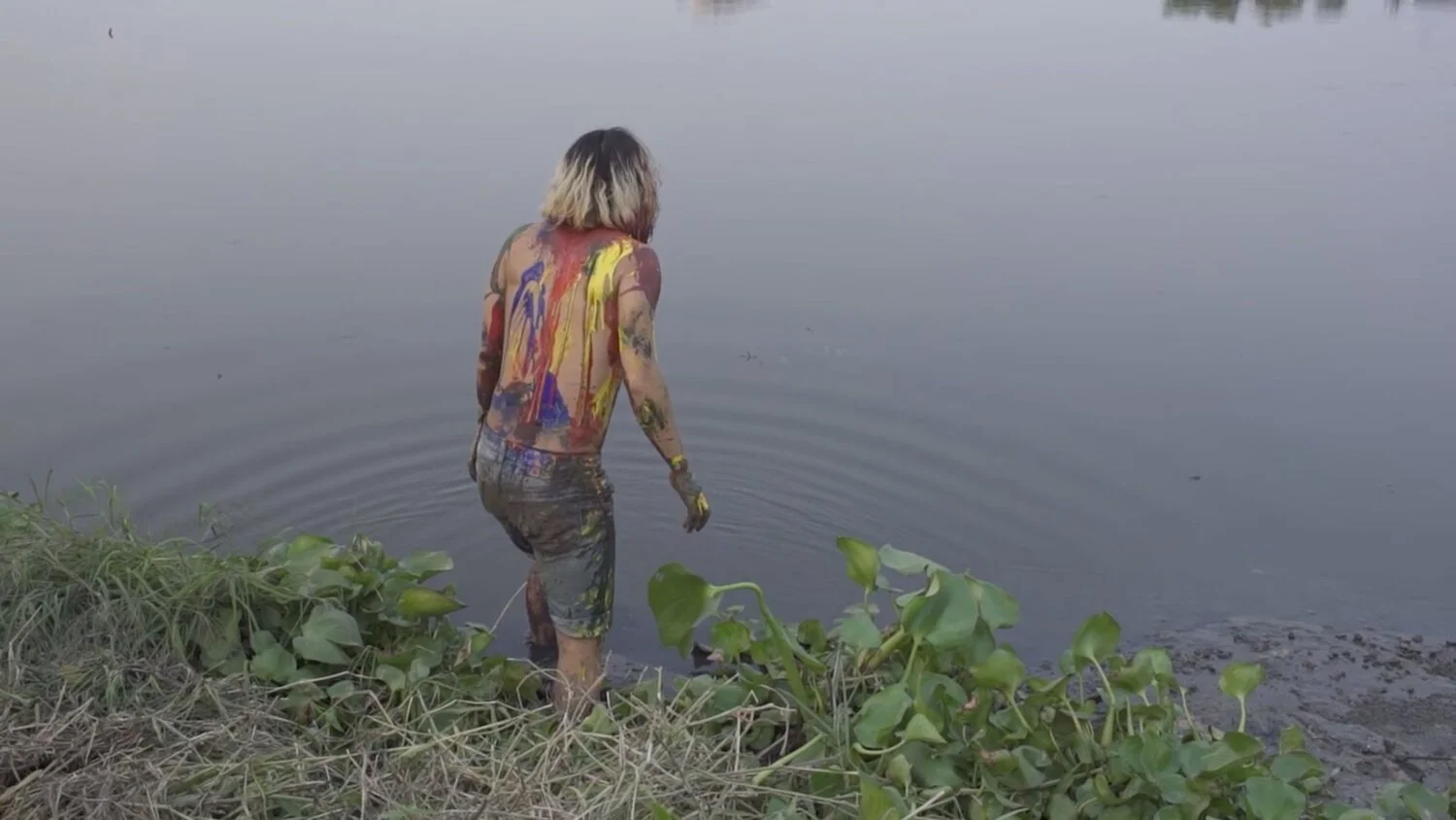 Oeuvres vidéo de la collection - Automne 2019