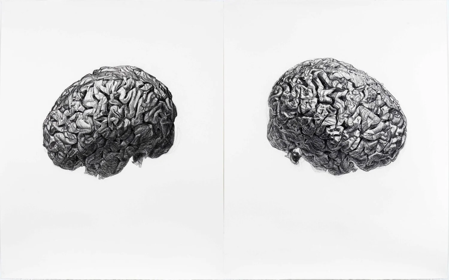   Where Do I End and You Begin (human brain),  2019, Charbon sur papier, 59 ¾" x 96 ¾" (152 x 246 cm) (Photographie par Paul Litherland) 