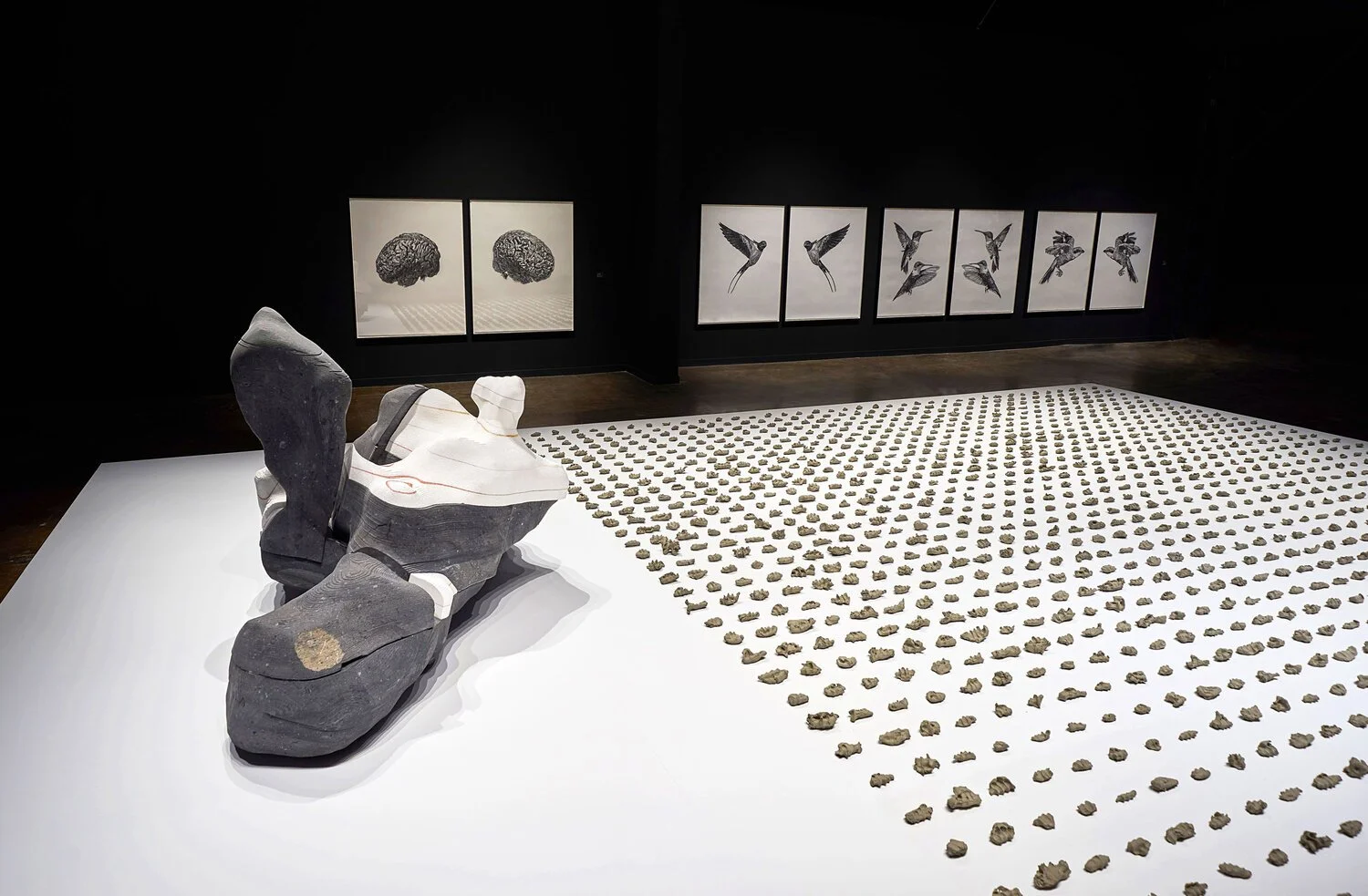  Vue d’installation (Photographie par Romain Guilbault) 