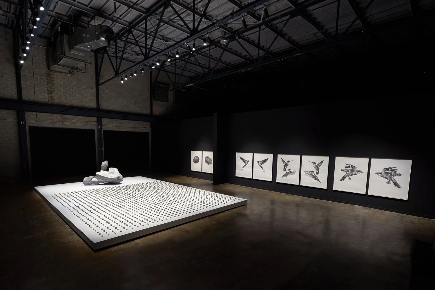  Vue d’installation (Photographie par Romain Guilbault) 
