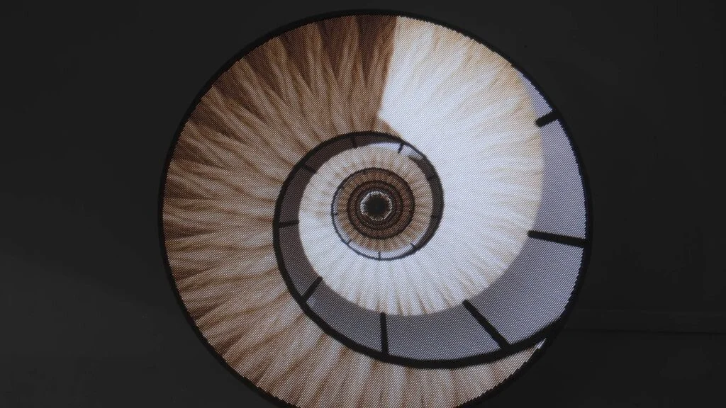 rafael-lozano-hemmer-cercania-field-descending-a-parametric-staircase.jpg