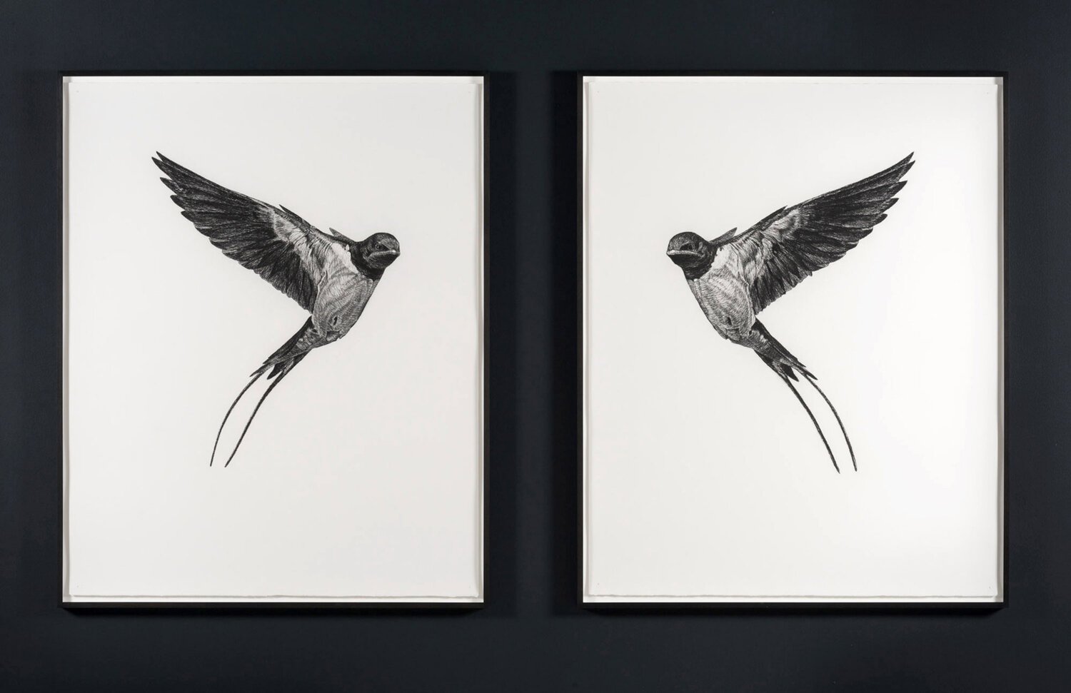   Where Do I End and You Begin (barn swallow),  2018, Charbon sur papier, 59 ¾" x 96 ¾" (152 x 246 cm) (Photographie par Paul Litherland) 