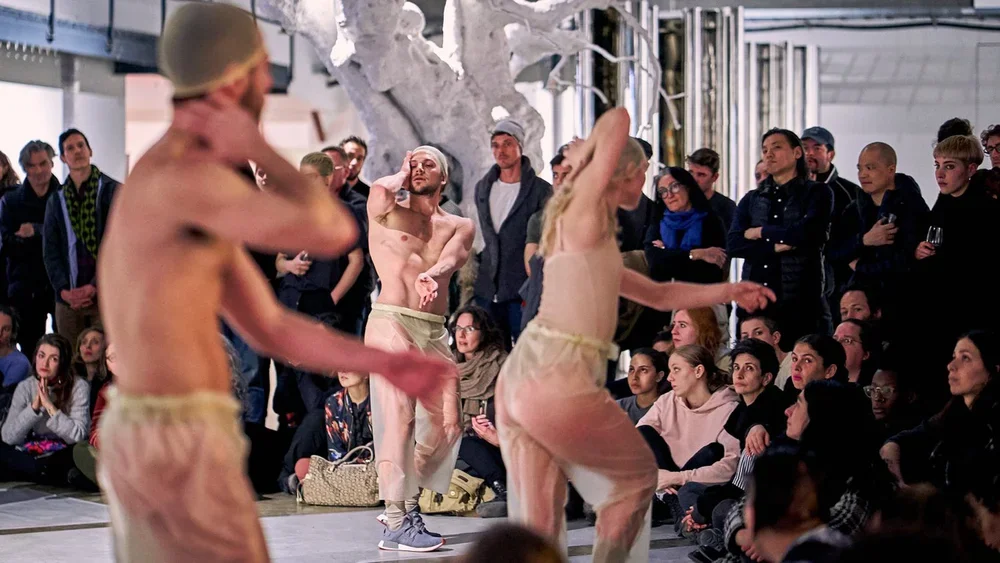 mardi-culturel-td-danse-danse-andrea-pena18.webp
