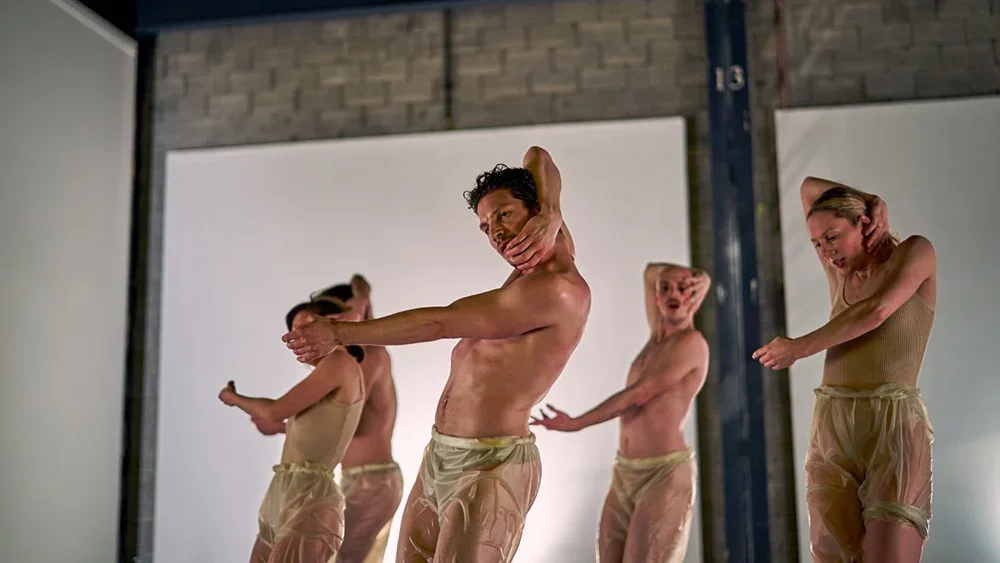 mardi-culturel-td-danse-danse-andrea-pena12.webp