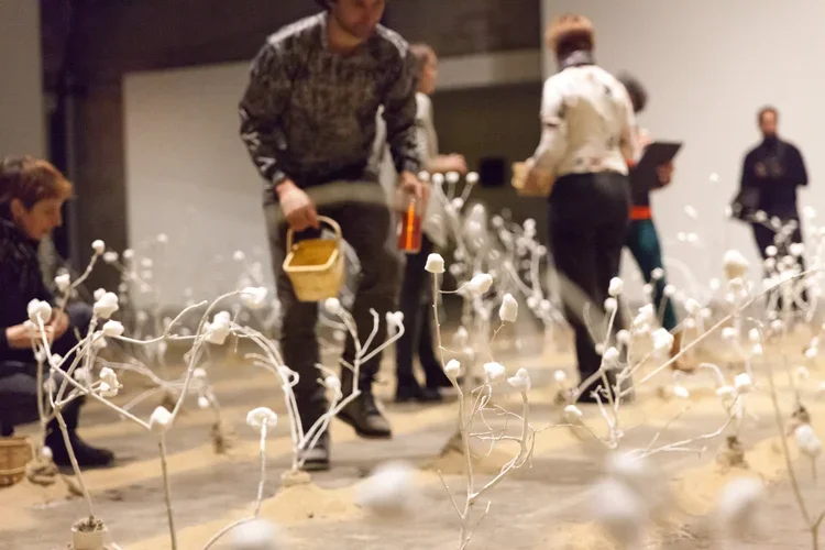mardi-culturel-td-festival-art-souterrain-stanley-fevrier-04.webp