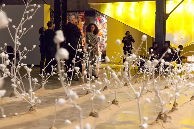 mardi-culturel-td-festival-art-souterrain-stanley-fevrier-03.webp