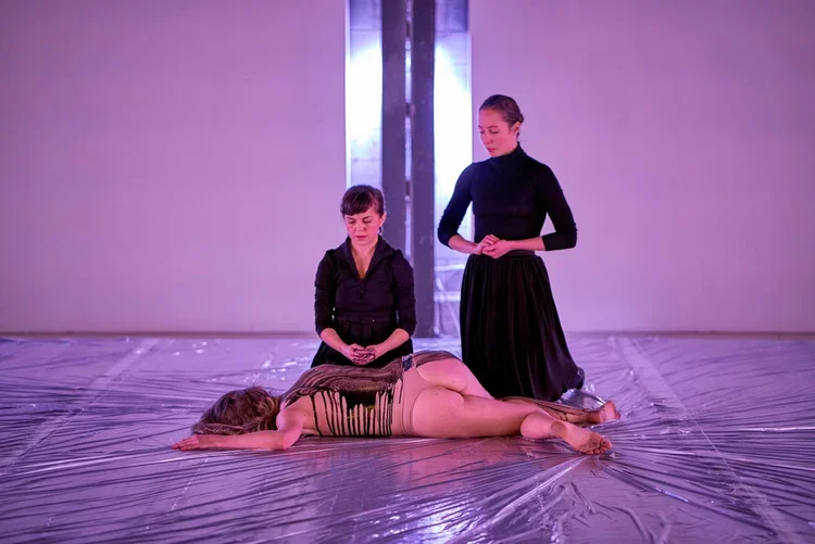 mardi-culturel-td-danse-danse-la-tresse17.webp