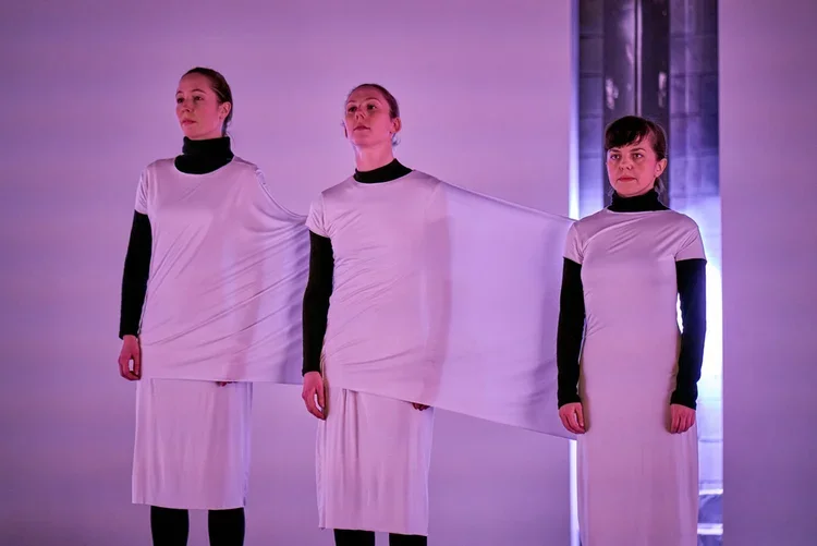 mardi-culturel-td-danse-danse-la-tresse11.webp