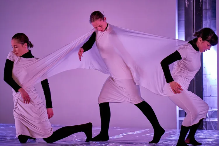 mardi-culturel-td-danse-danse-la-tresse03.webp