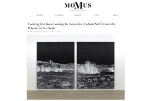 Looking Out from Looking In: Geneviève Cadieux Shifts From the Polemic to the Poetic