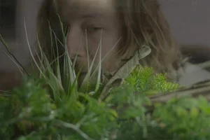 Impetus: régénération 101 ****