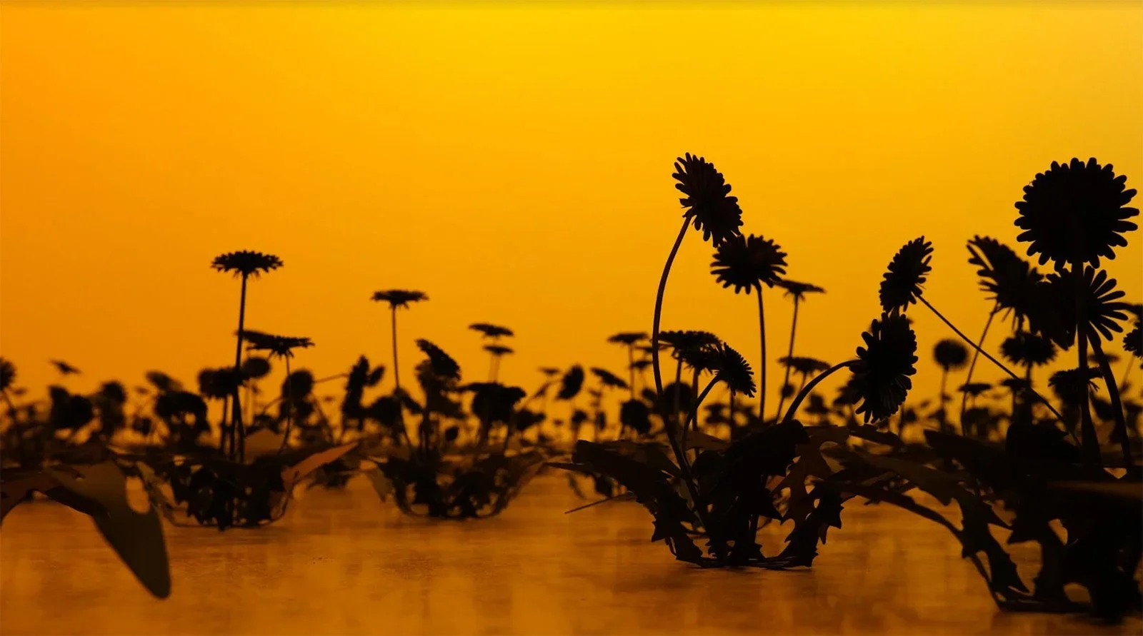 Esmaa Mohamoud - It Cannot Always Be Night